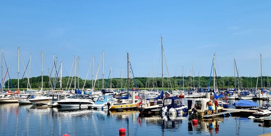 Mcconaghy r/p 79’ maxi