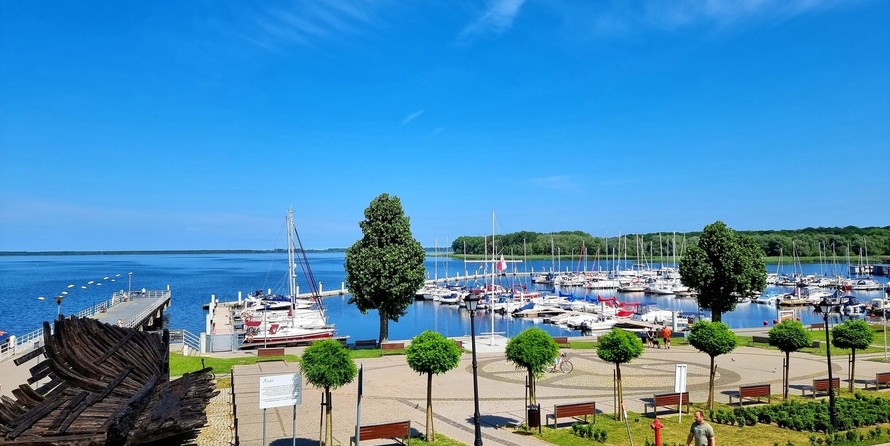 Mcconaghy r/p 79’ maxi