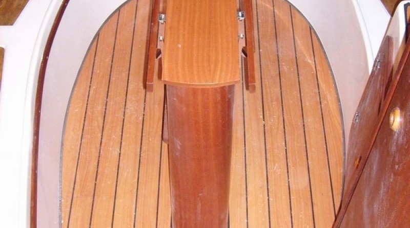 Sasanka 660