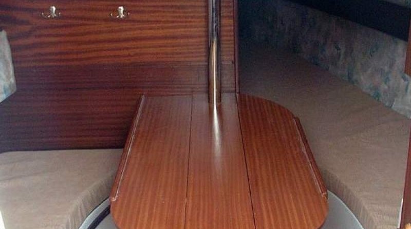 Sasanka 660
