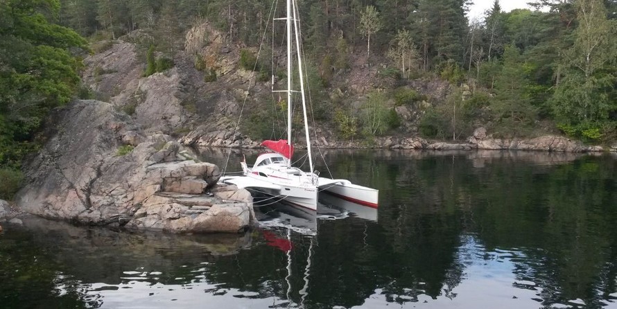 Dragonfly Dragonfly 28