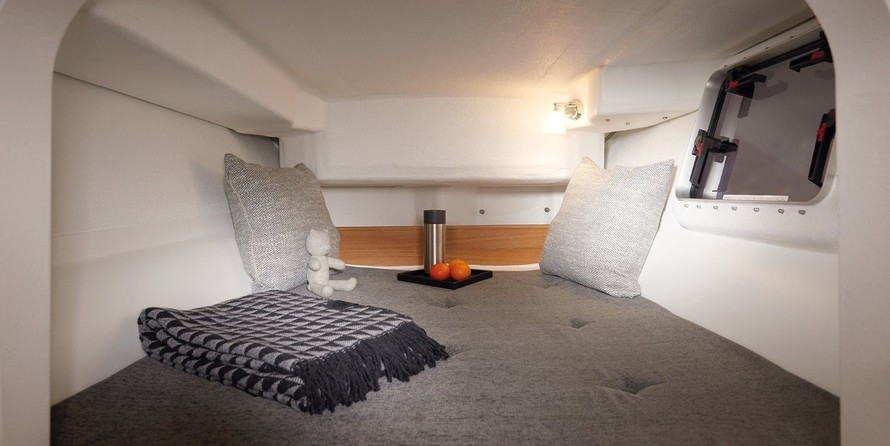 Dragonfly Dragonfly 28