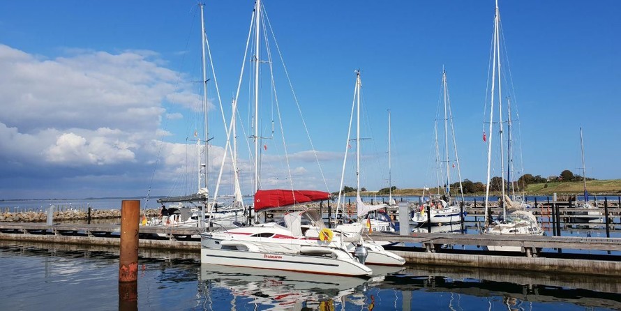 Dragonfly Dragonfly 28