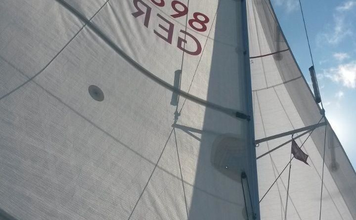 Dragonfly Dragonfly 28