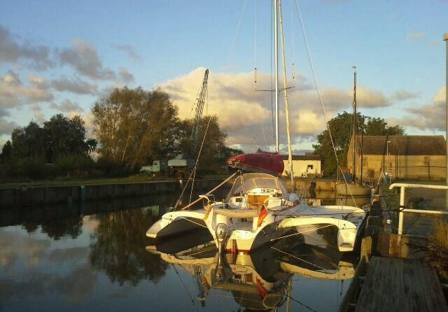 Dragonfly Dragonfly 28