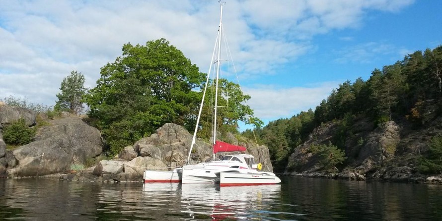 Dragonfly Dragonfly 28