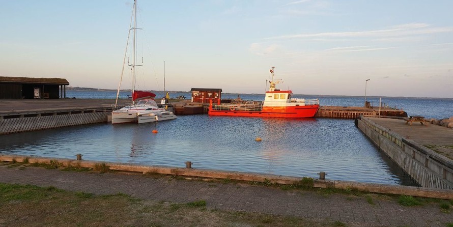 Dragonfly Dragonfly 28