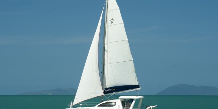 Leopard 40