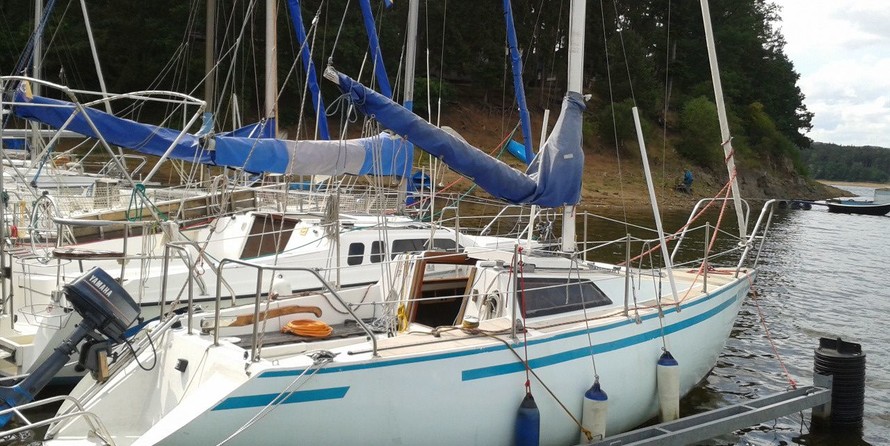 Sasanka 670