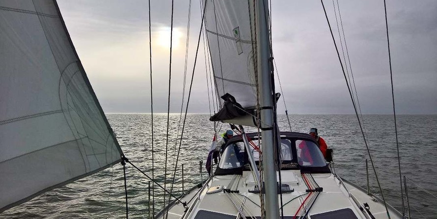 Delphia 40.3