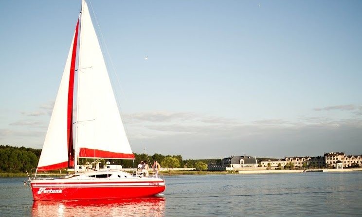 Northman Maxus 33.1 RS