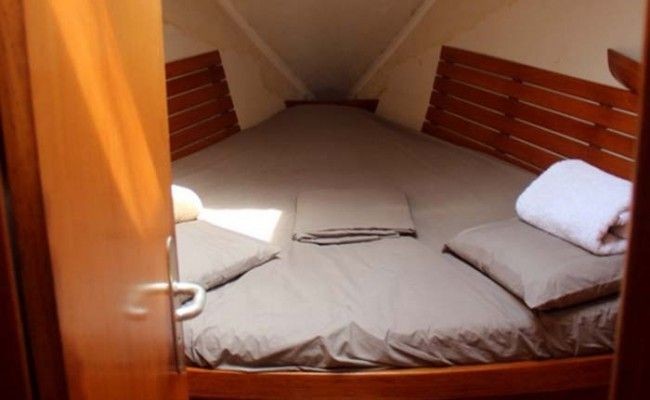 Alliaura Marine Feeling 446