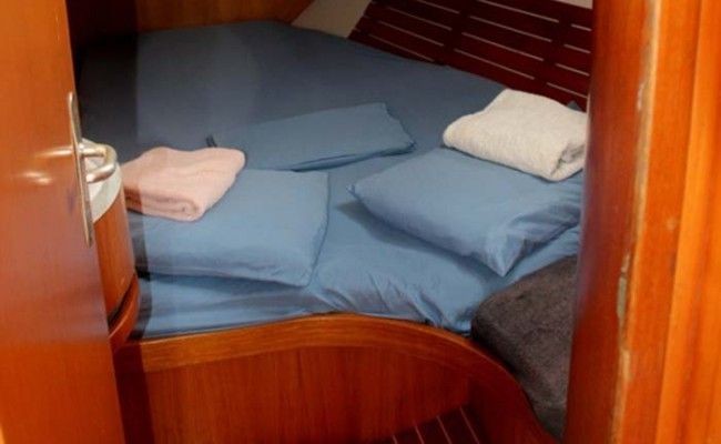 Alliaura Marine Feeling 446