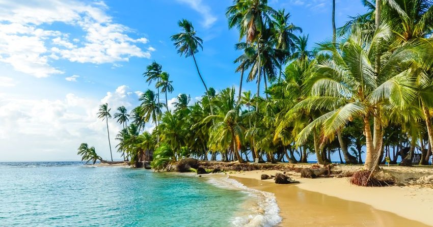 Alliaura Marine Feeling 446