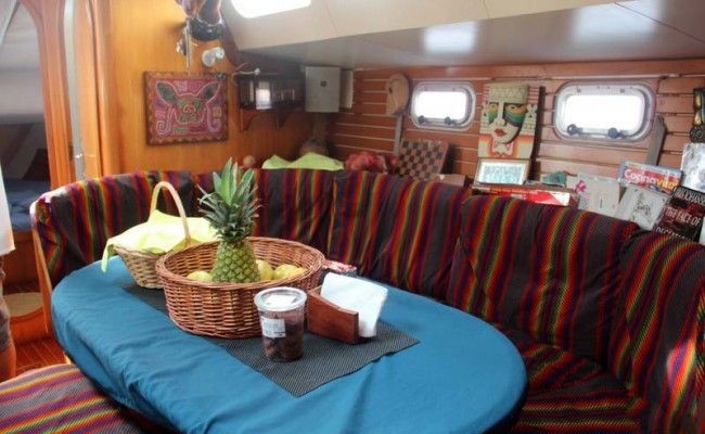 Alliaura Marine Feeling 446