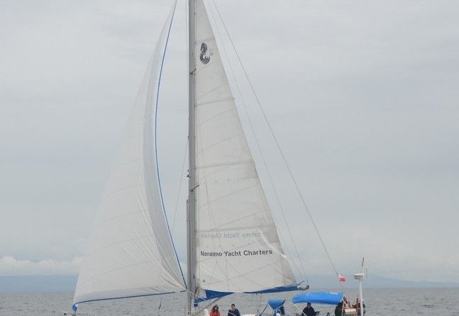 Beneteau 50