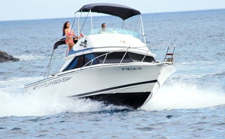 Bertram 28 Flybridge