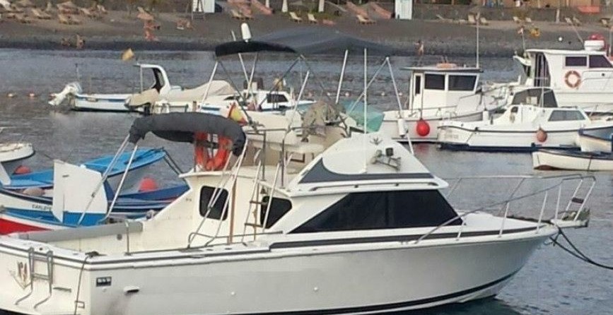 Bertram 28 Flybridge