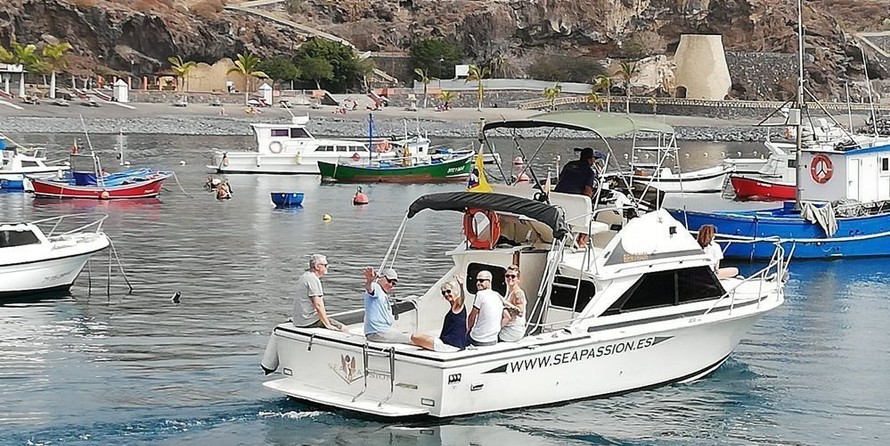Bertram 28 Flybridge