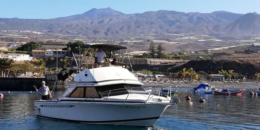 Bertram 28 Flybridge