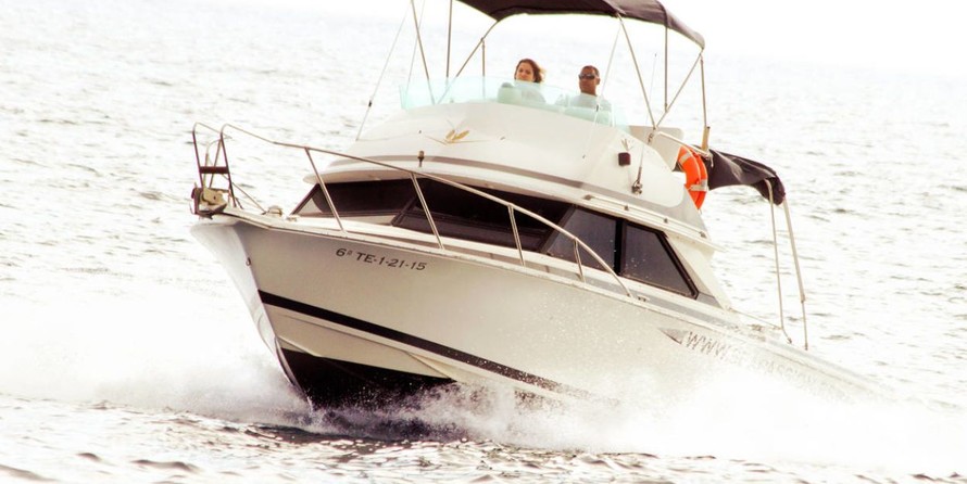 Bertram 28 Flybridge