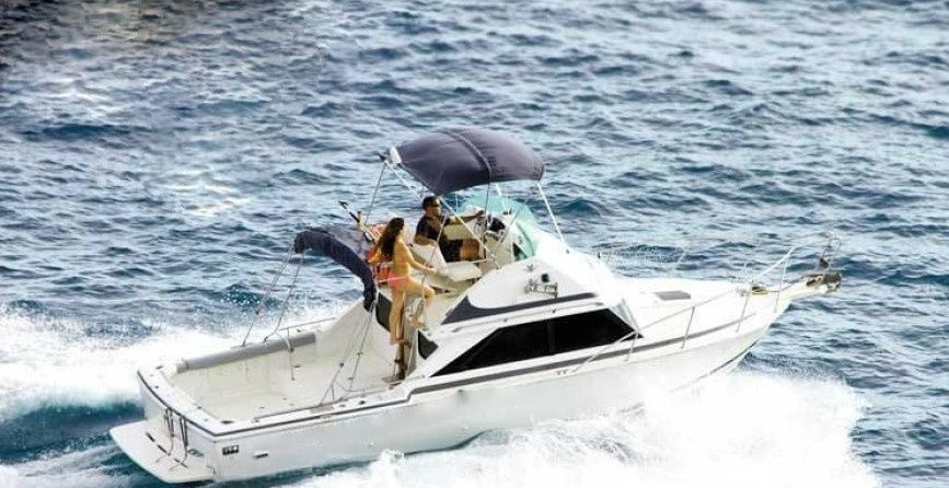 Bertram 28 Flybridge