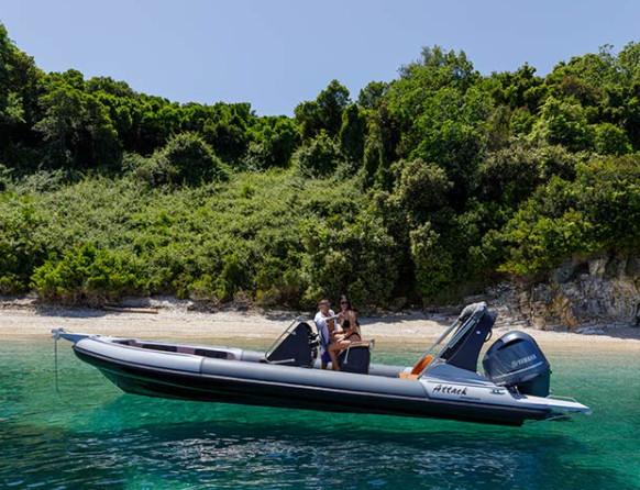Attack Rib 8