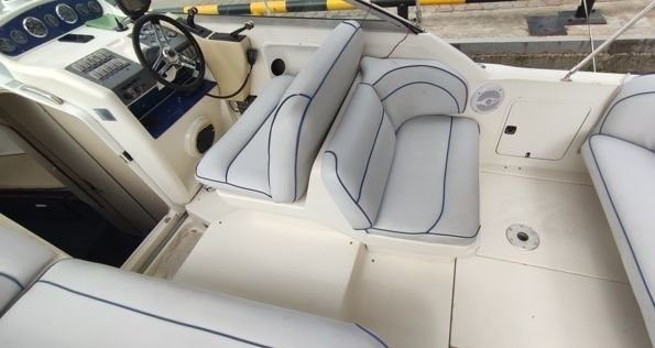 Sea Ray 270