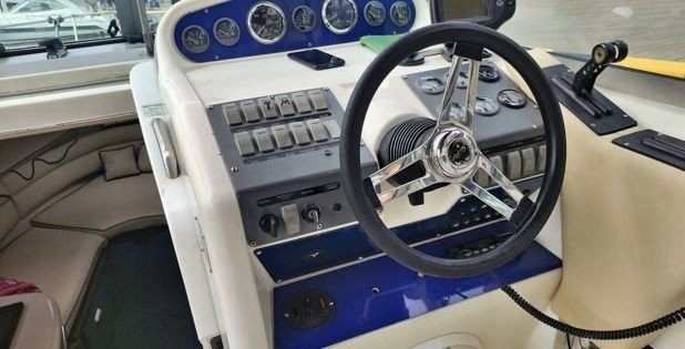 Sea Ray 270