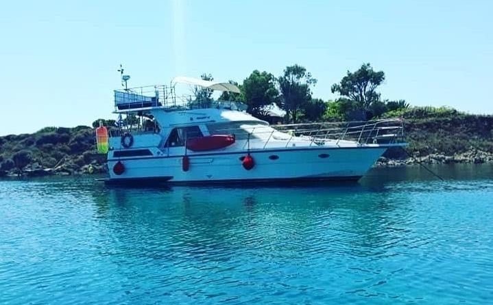 President president 46 flybridge