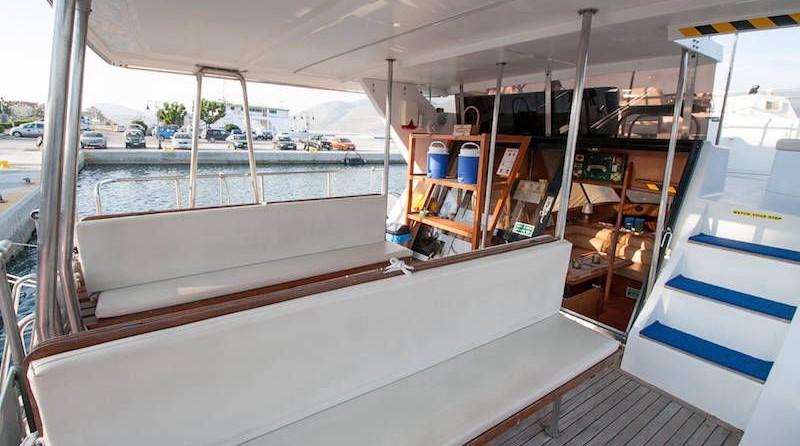 President president 46 flybridge