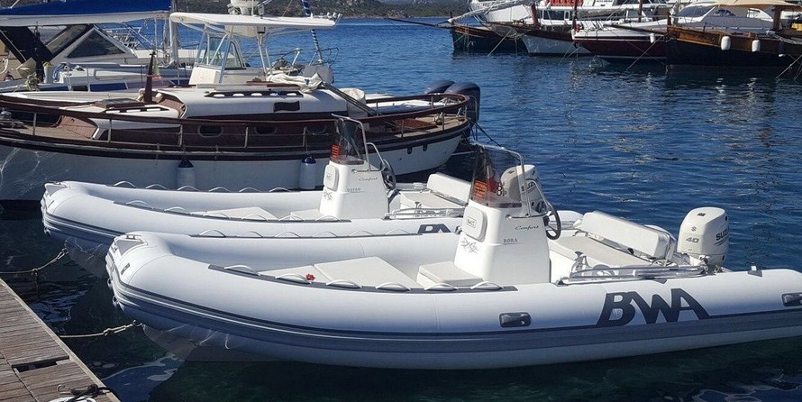 BWA 550