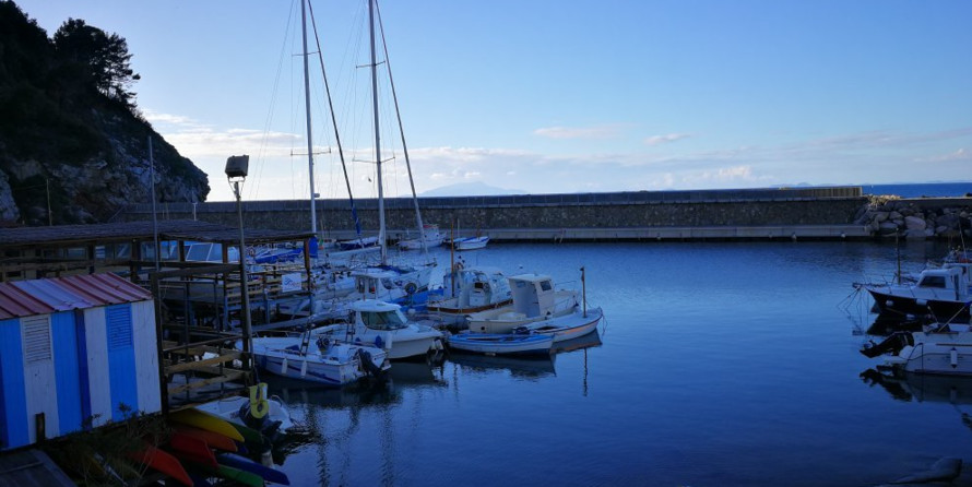 Comena super corallo 27