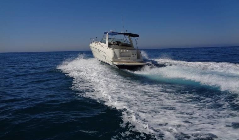 Rinker Fiesta Vee 310