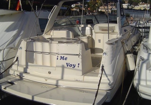 Rinker Fiesta Vee 310