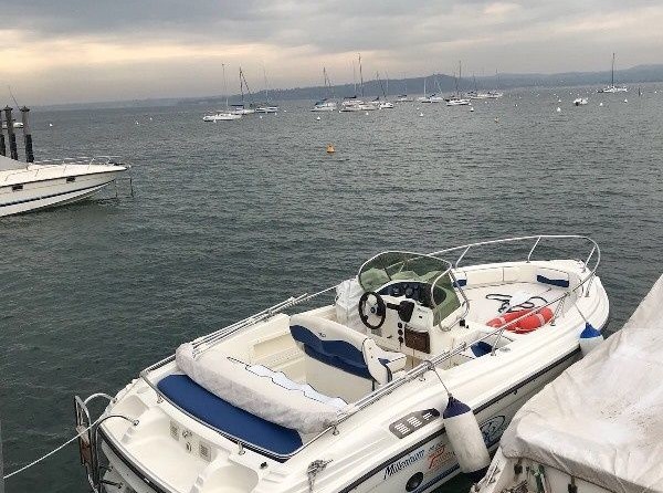 Ranieri international shadow 19