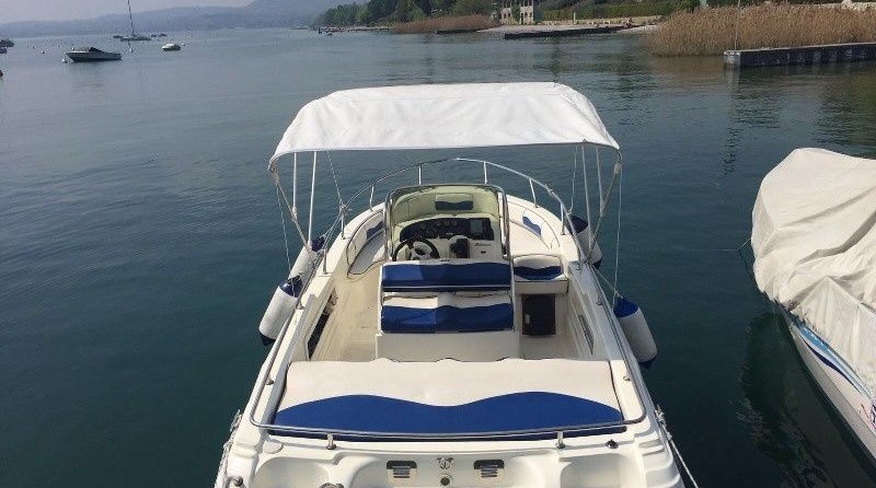 Ranieri international shadow 19