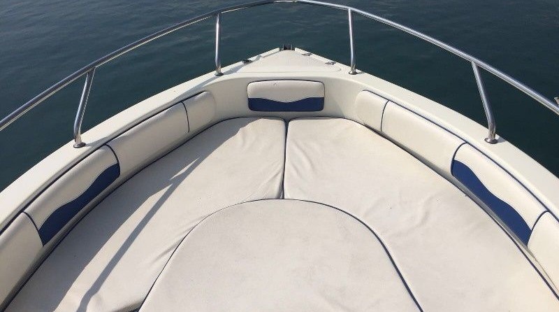 Ranieri international shadow 19