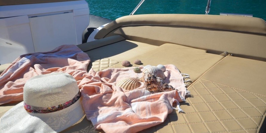 Salpa Gran Soleil 23