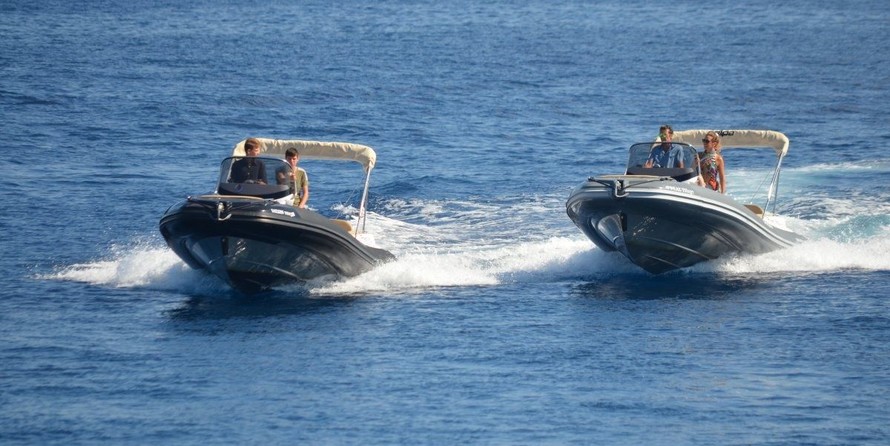 Salpa Gran Soleil 23