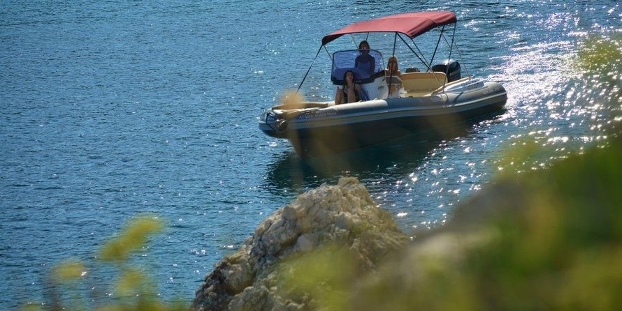 Salpa Gran Soleil 23