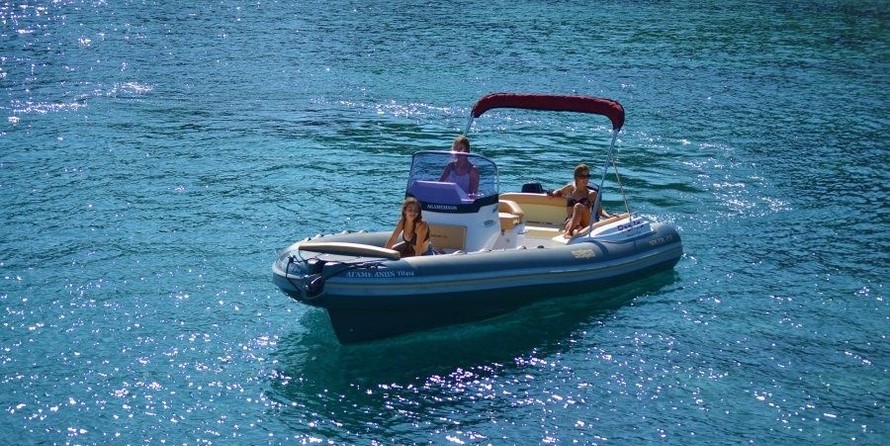 Salpa Gran Soleil 23