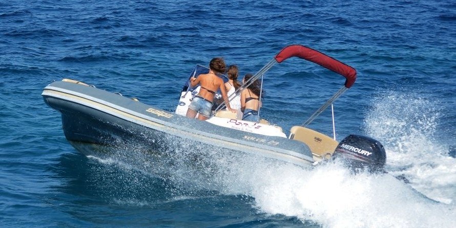 Salpa Gran Soleil 23