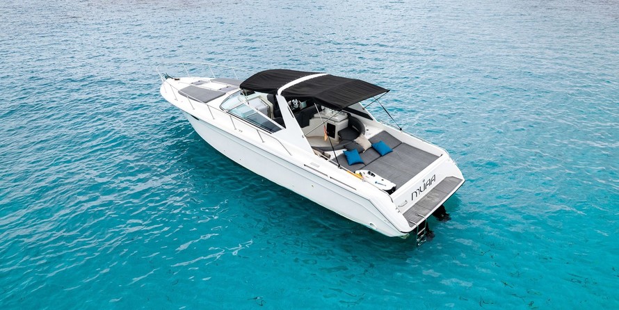 Sea ray 400