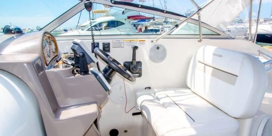 Rinker 270 EX