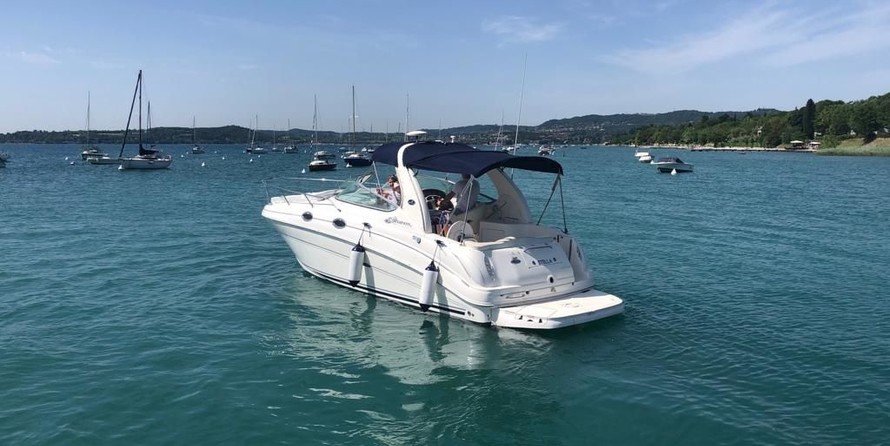 Sea Ray 315 Sundancer