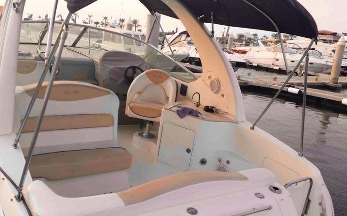 Sea Ray 315 Sundancer