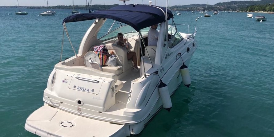 Sea Ray 315 Sundancer