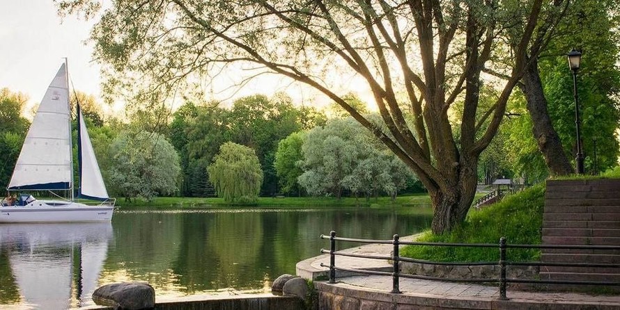 Northman Maxus 33.1 RS