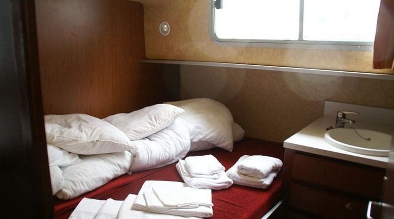 Mcconaghy r/p 79’ maxi